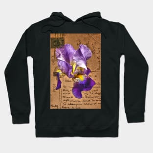 Iris on Vintage Post Card Hoodie